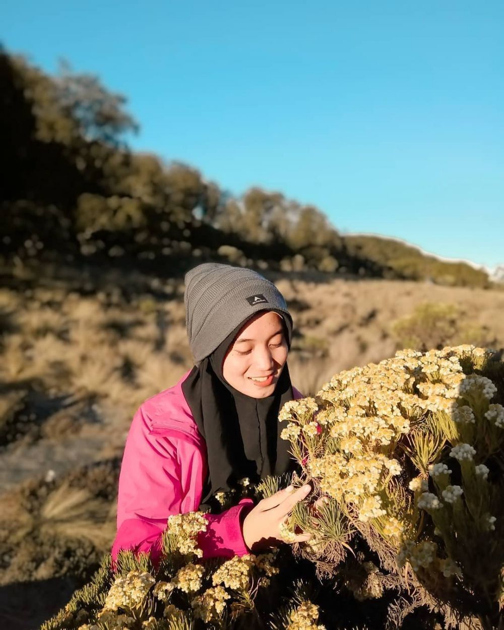 10 Tempat Terindah untuk Melihat Bunga Edelweiss di Indonesia