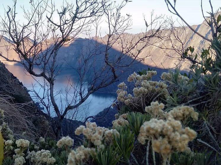 10 Tempat Terindah untuk Melihat Bunga Edelweiss di Indonesia