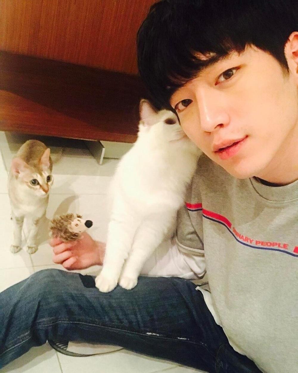 Seo Kang Joon yang Bikin Perempuan Jatuh Hati