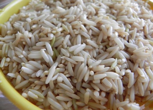 5 Fakta Nasi GABA yang Kaya Nutrisi dan Manfaat