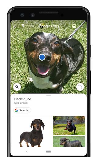 5 Cara Jelajahi Dunia Secara Virtual