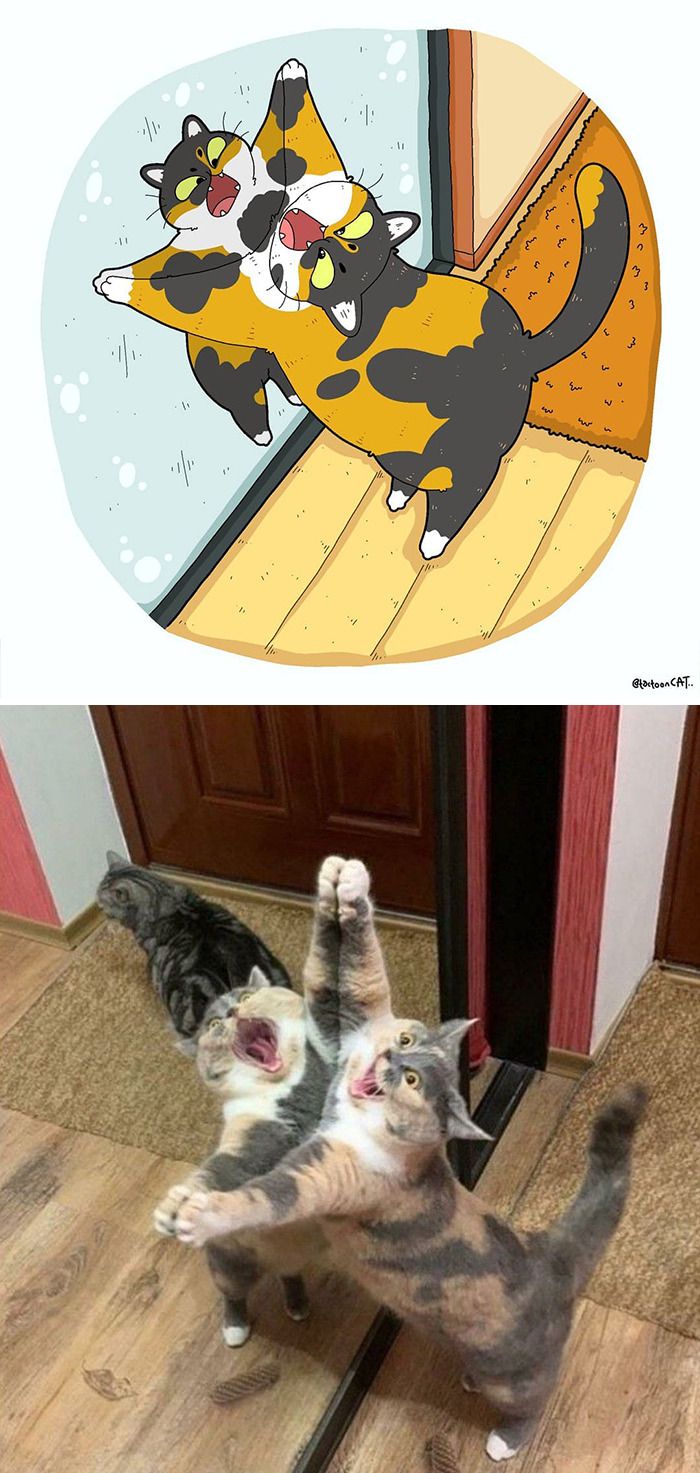 Bikin Ngakak Banget, 13 Ilustrasi Tingkah Kucing Ini Super Menghibur!