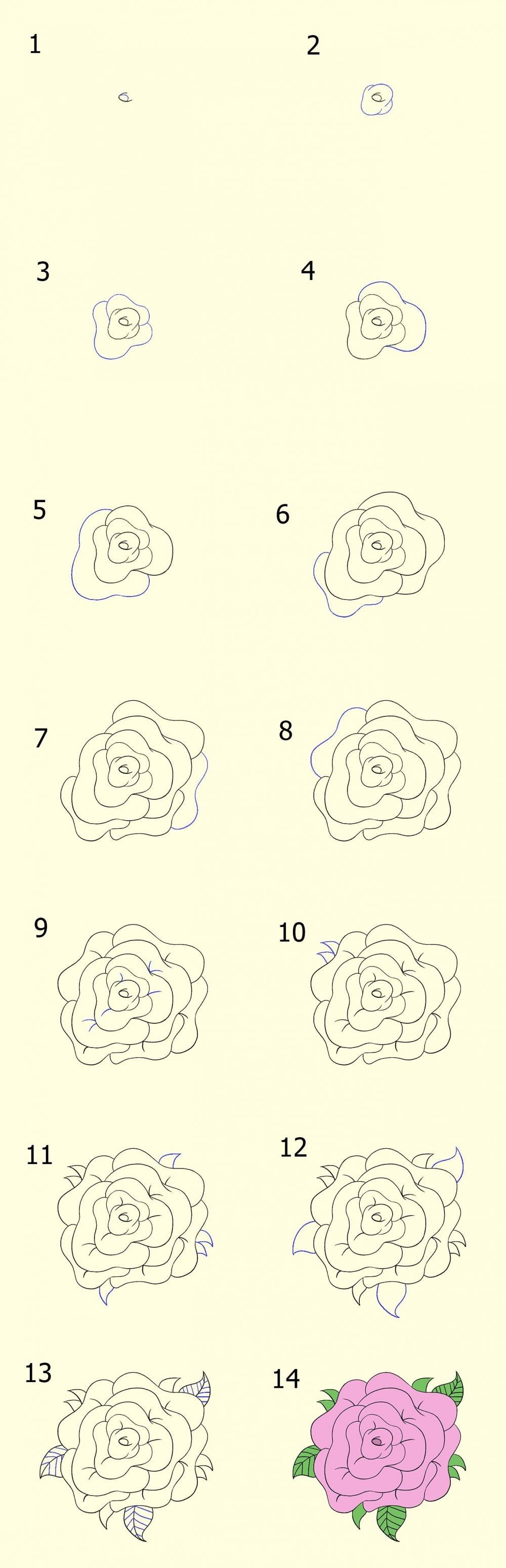 3 Cara Mudah Menggambar Sketsa Bunga Yang Indah