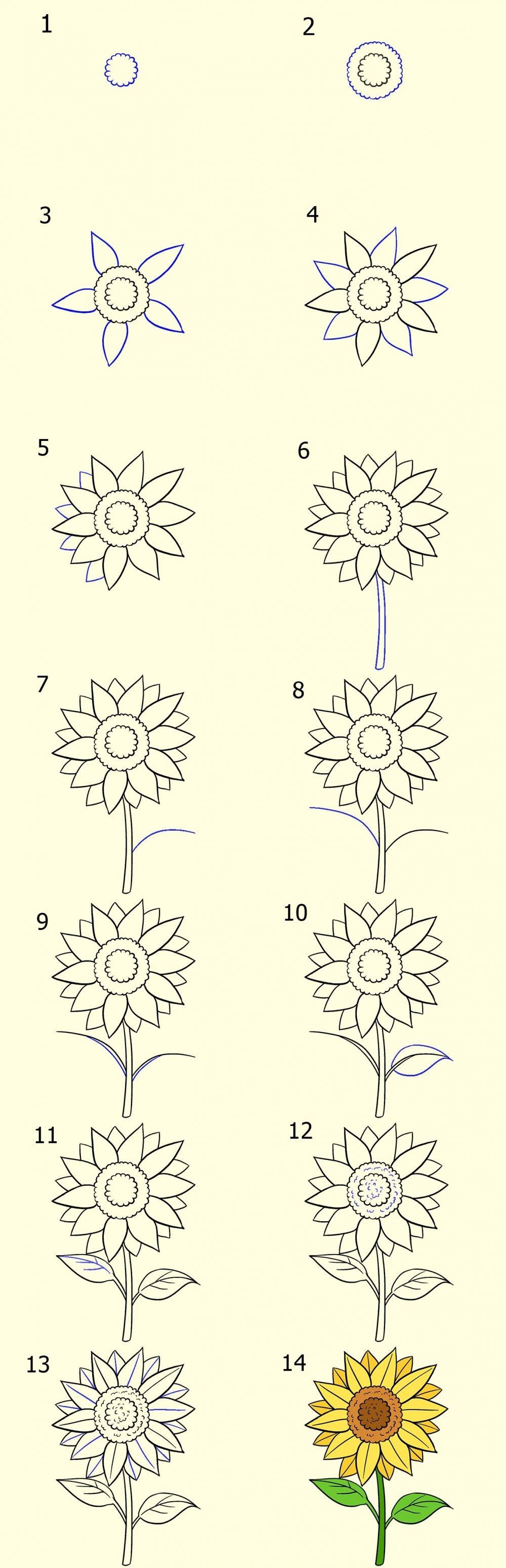 3 Cara Mudah Menggambar Sketsa Bunga yang Indah