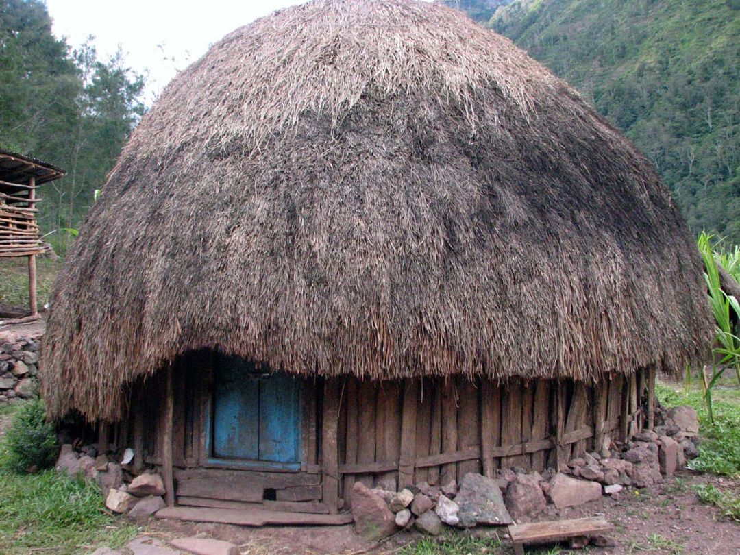 7 Jenis Rumah Adat Papua Lengkap Nama Dan Gambar