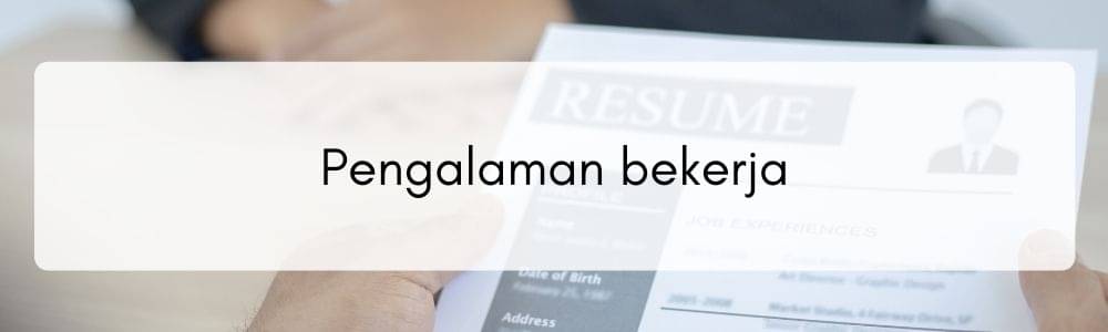 Biar Berkasmu Lolos Seleksi, Simak Contoh Daftar Riwayat Hidup Ini