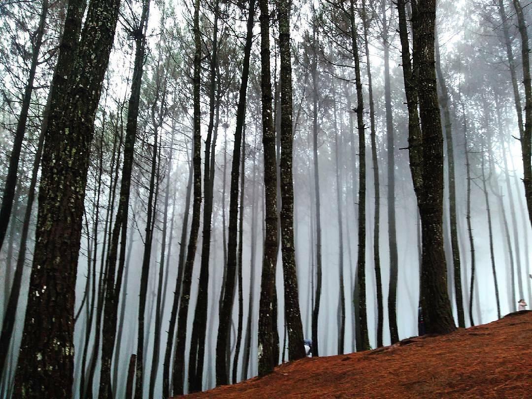 7 Tempat Wisata Tersembunyi di Pulau Jawa yang Nggak Ramai Wisatawan