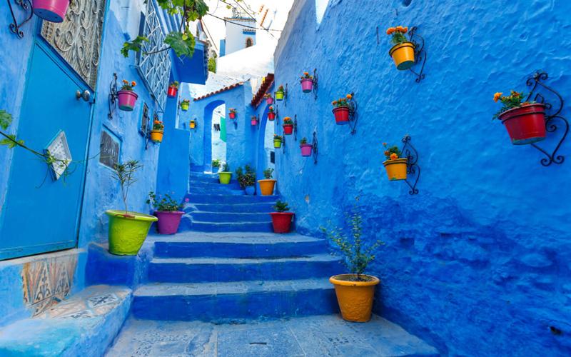 Selain Pulau Ungu di Korea, Ada 5 Destinasi Wisata Berciri Khas Warna