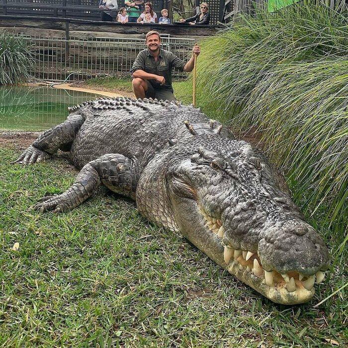 13 Foto Ini Buktikan Binatang Bisa Tumbuh Lebih Besar dari Perkiraan
