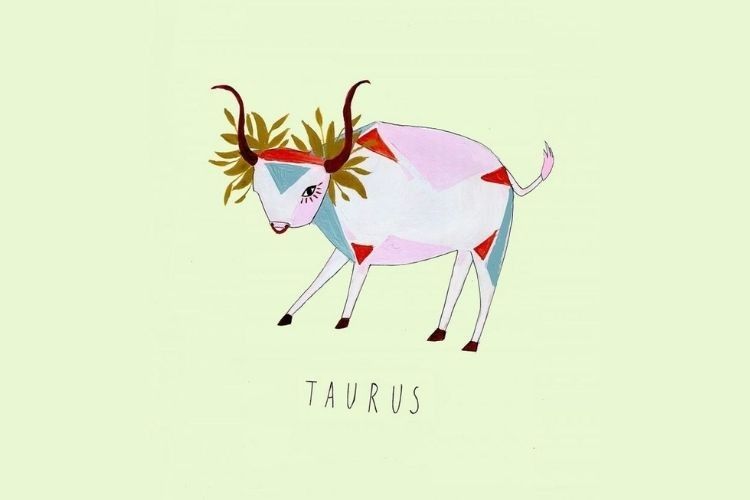 Taurus cocok dengan zodiak apa