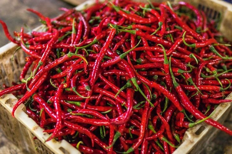 Resep Membuat Sambal Terasi yang Tahan Lama, Tanpa Pengawet