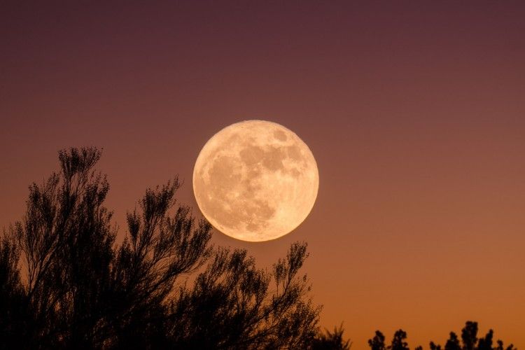Panduan sholat gerhana bulan