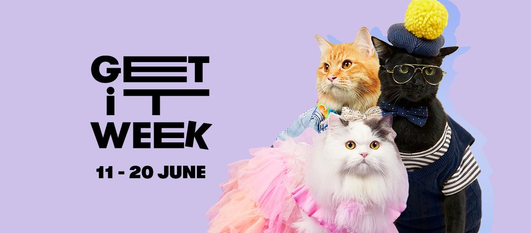 Atome Kittens, Band Kucing Pertama yang Akan Temani Kamu Belanja 