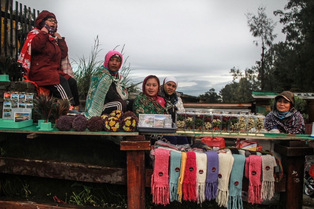 Fakta-Fakta di Balik Budidaya Bunga Edelweiss di Wisata Bromo