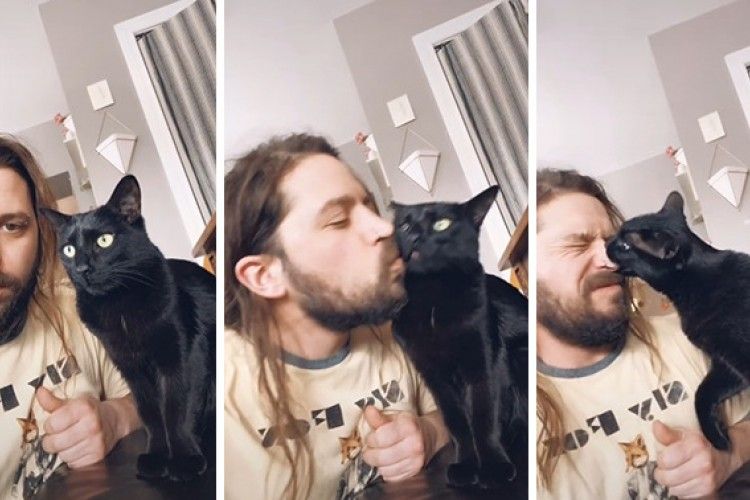 13 TikTok Challenge: Kiss Your Pet, yang Bikin Ngakak Pol!