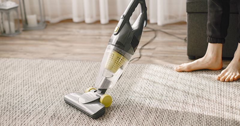 Mudah dan Efektif! Ini 7 Tips Mengatasi Bau Hewan Peliharaan di Rumah