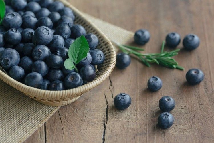 7 Manfaat Blueberry untuk Kecantikan yang Wajib Diketahui