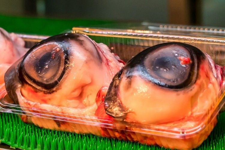 Ada Penis Ikan dan Testis Banteng, Intip 15 Hidangan Teraneh di Dunia