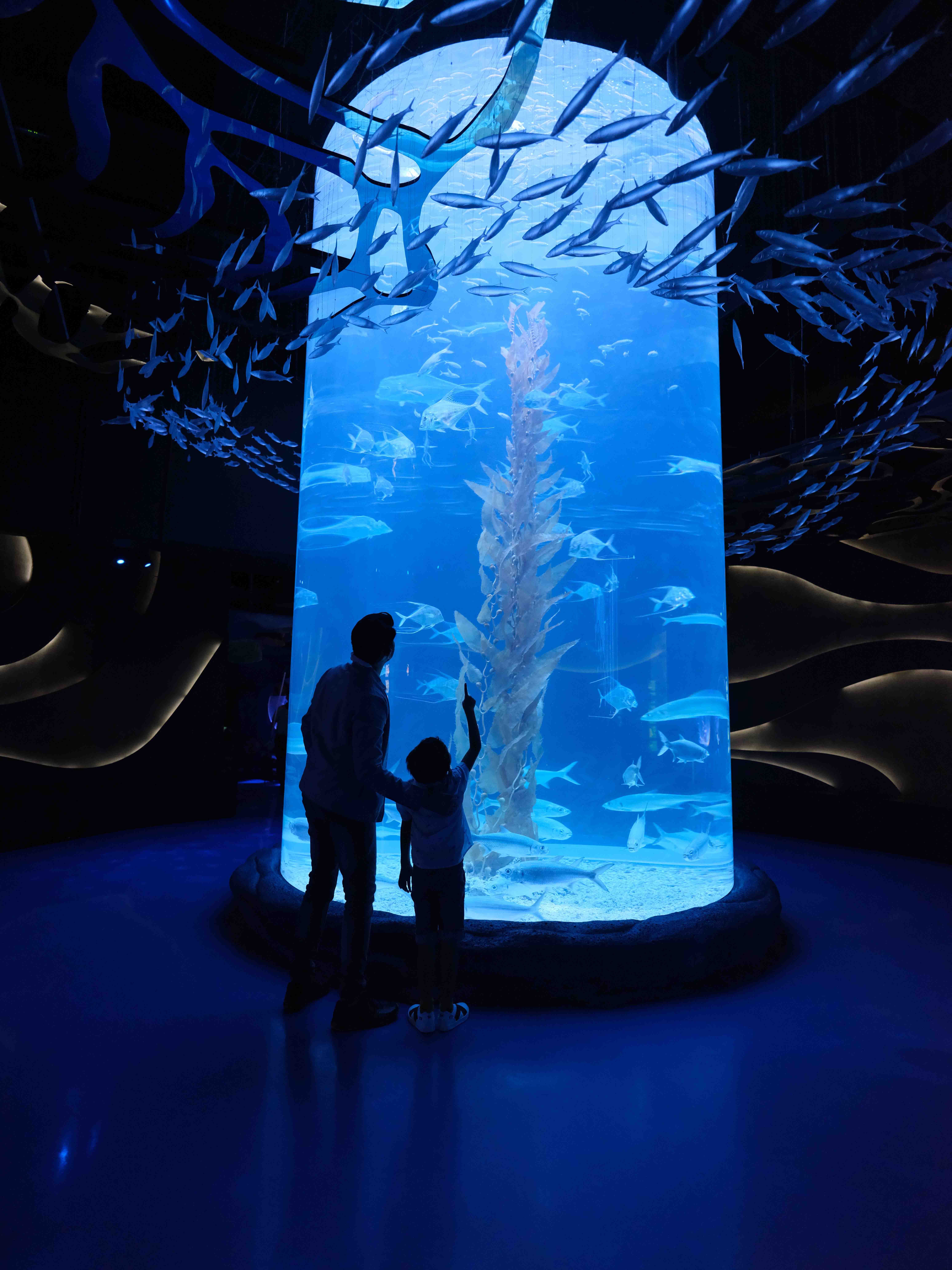 Rayakan Hari Jadi ke-4, Jakarta Aquarium & Safari Hadirkan 5 Hal Baru!