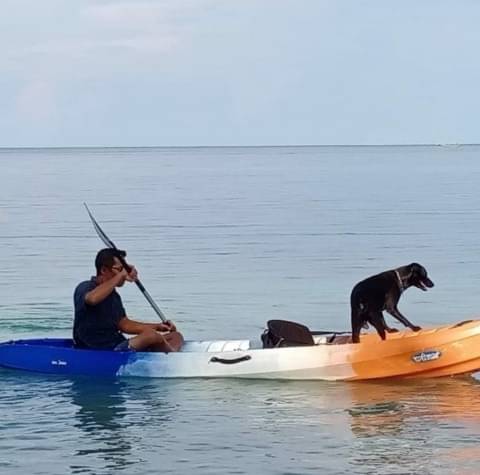 Tak Tempuh Jalur Hukum, Pemilik Anjing Canon Minta Maaf 