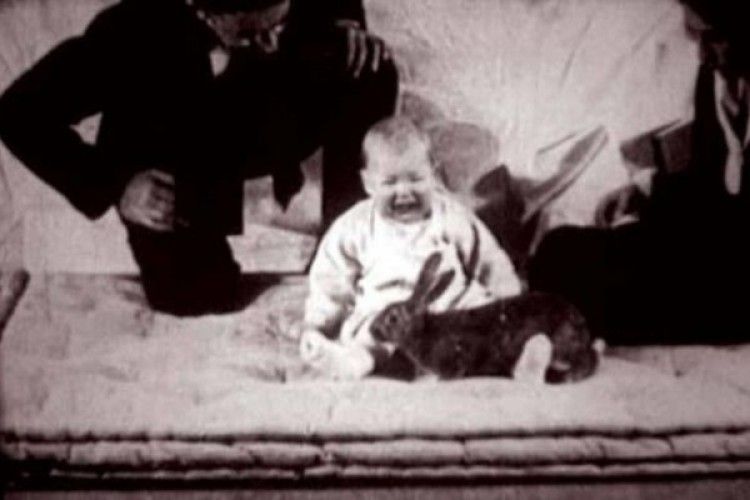 Little Albert Experiment, Gunakan Bayi untuk Percobaan Fobia Kejam