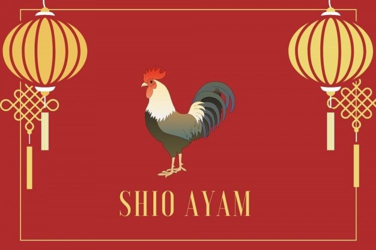Ramalan Shio Ayam Tahun 2022, Banyak Kesempatan Belajar
