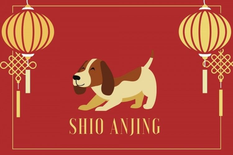 Ramalan Shio Anjing Tahun 2022, Cobalah Membuka Diri