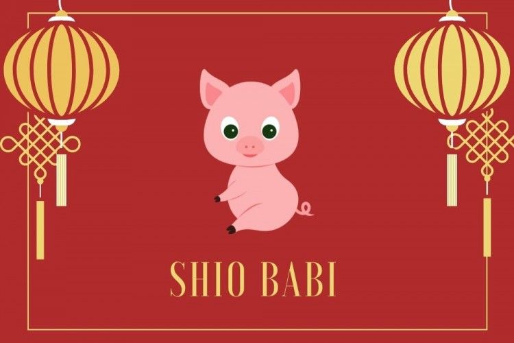Ramalan Shio Babi Tahun 2022, Saatnya Bicara dari Hati ke Hati