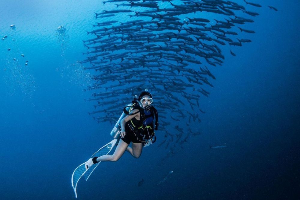 8 Best Popular Activities in the Country for Diving, Seeing the Beauty of the Sea 