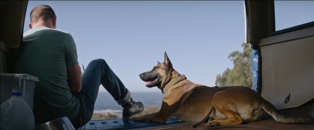 5 Fakta 'Dog', Film Debut Channing Tatum sebagai Sutradara