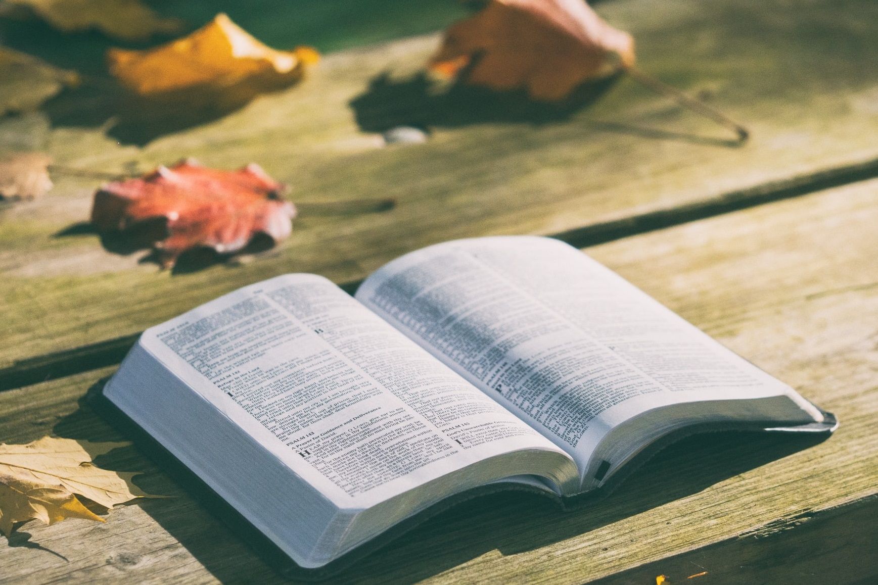 22 Ayat Alkitab Tentang Bersyukur, Bahan Renungan untuk Kontemplasi