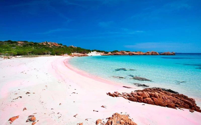 9 Destinasi Pantai Pink Terindah di Dunia yang Wajib Dikunjungi 