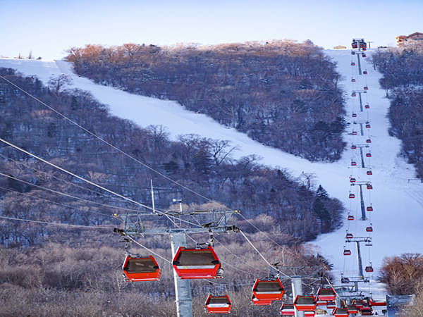 Kampung Halaman Ningning Aespa, Ini 10 Tempat Wisata Populer di Harbin