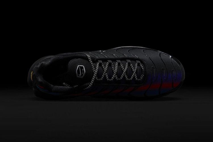 Detail Split Warna Canggih pada Sneaker Nike Air Max Plus 'Unity'