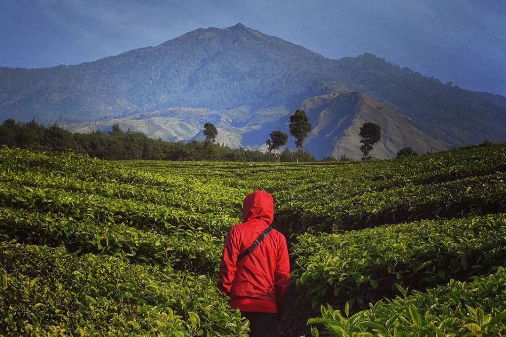 9 Tempat Wisata Terbaru Di Malang Dan Harga Tiket Masuknya