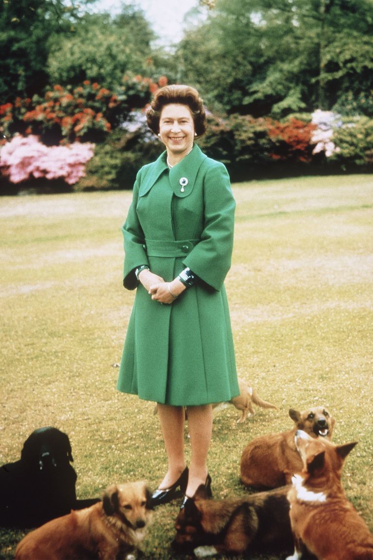 15 Foto Bersejarah Ratu Elizabeth II, Old But Gold