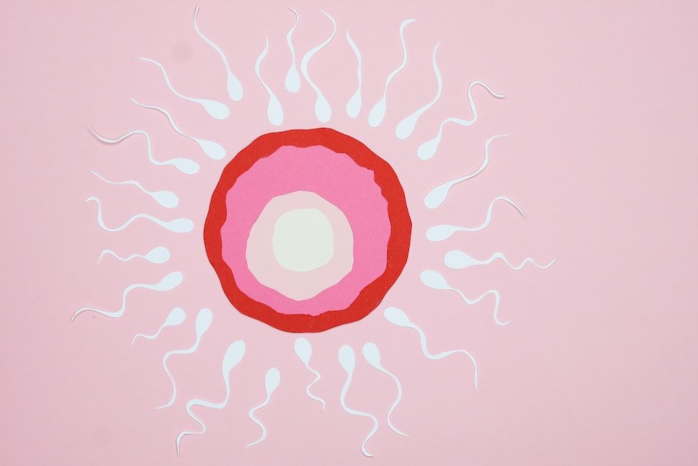 Ketahui 7 Cara Membedakan Sperma Subur dan Tidak