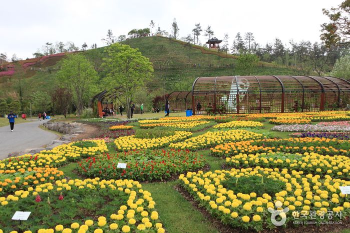 6 Wisata Alam di Korea Selatan yang Cocok untuk Healing 