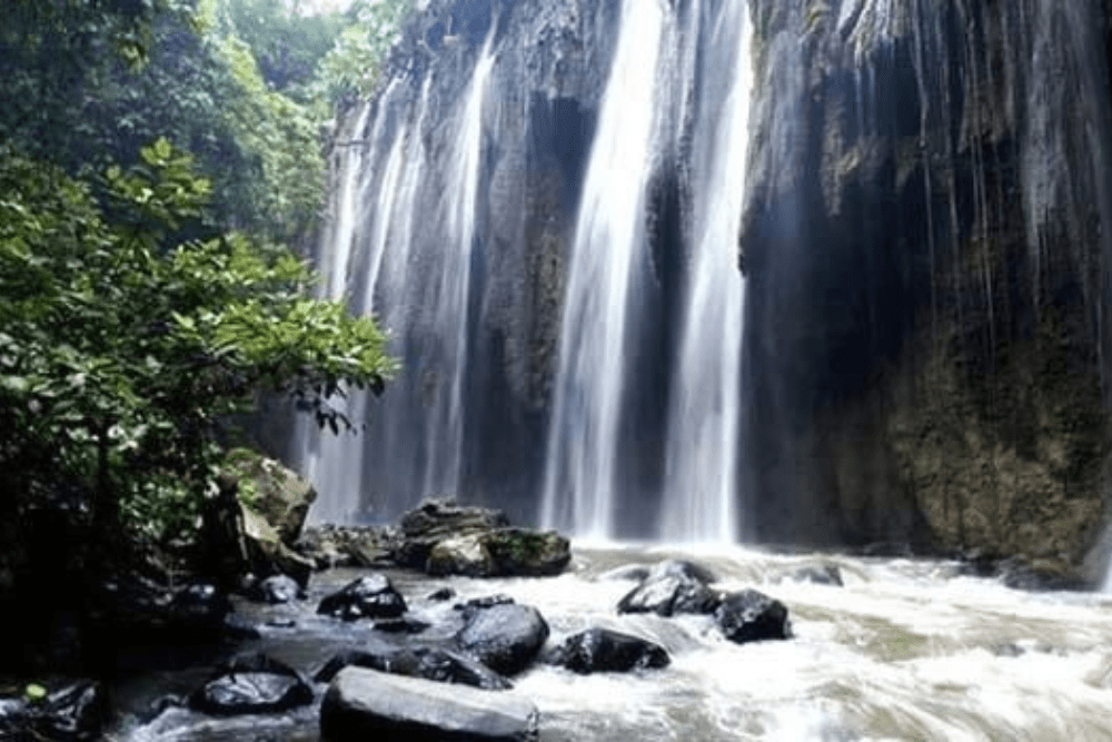 Punya Alam yang Memesona, Inilah 9 Tempat Wisata Hits di Probolinggo