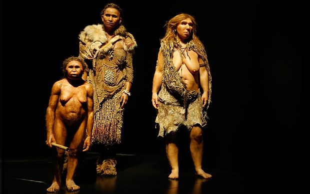 Fakta Homo Floresiensis yang Konon Masih Hidup Berkeliaran